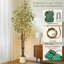 Eucalyptus d'intérieur d'intérieur-134997720