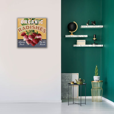 'Radishes' by Fiona Stokes-Gilbert Canvas Wall Art