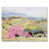 Wrapped Canvas