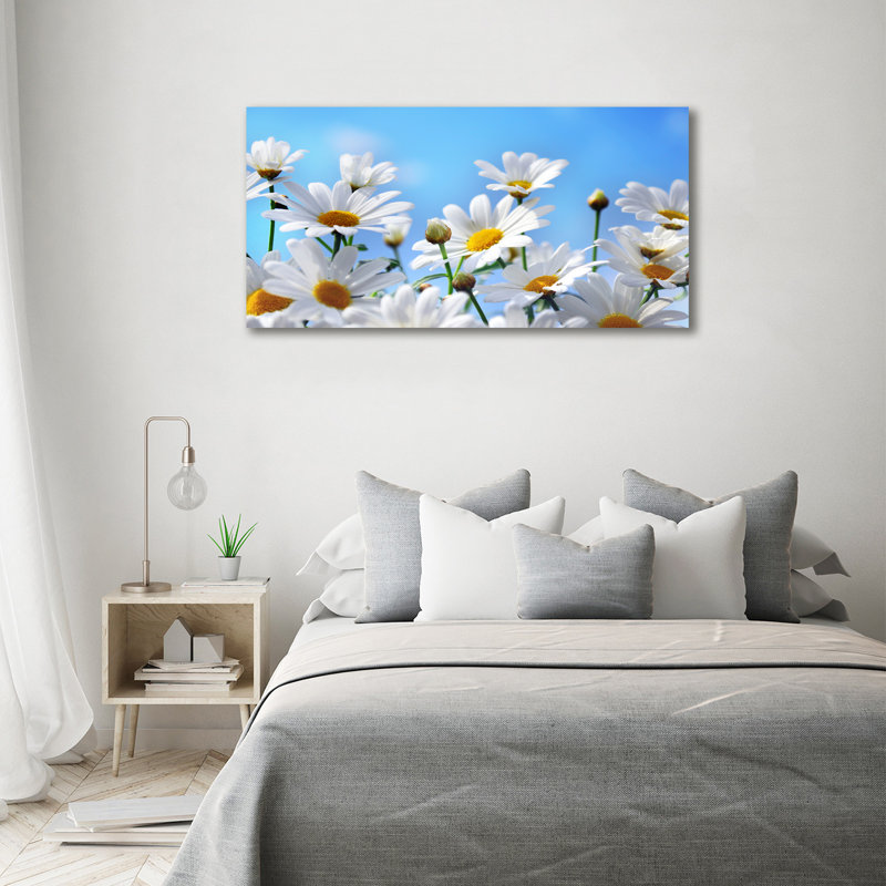 Daisies - Wrapped Canvas Print