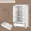 80 cm W Display Cabinet