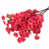 Rouge rose