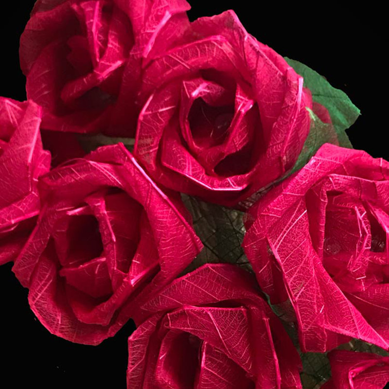 Dov LED Natural Leaf Rose String Light, 20 Lamps - 5 Metre Long