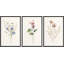 "Minimal Botanical" Pastel Wild Flower Daisy Variétés-91875092-91875093