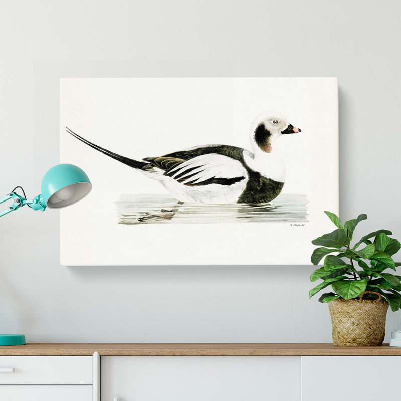 Long-Tailed Duck by Von Wright - Wrapped Canvas Art - Wrapped Canvas, 50cm H x 76cm W x 3cm D