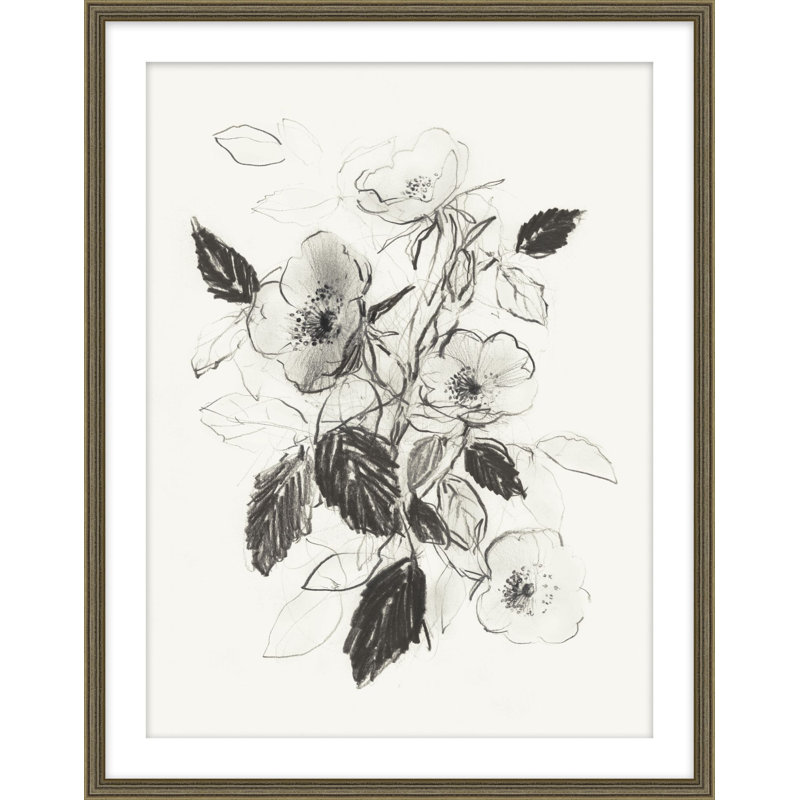 Dog Roses In Bloom 1 Print, 26.25" H x 21.25" W