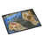 Yorkshire Terrier Yorkie Satin And Lace