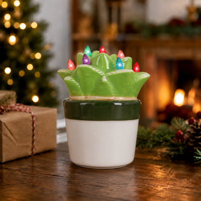 Plantes grasses illuminées de Noël (aloès)