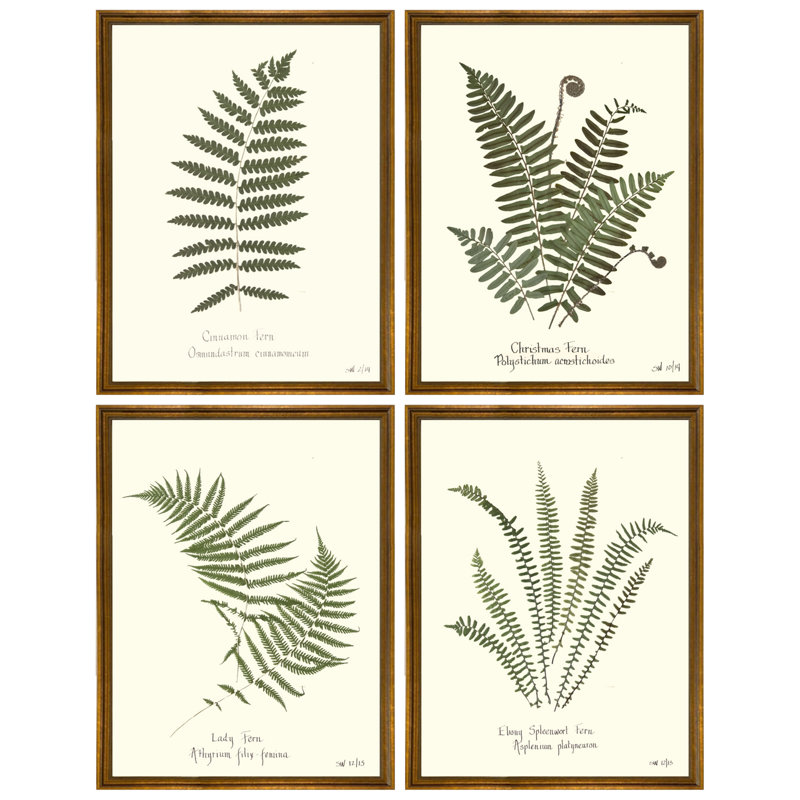 Plants & Flowers Set by Sandy Whitaker