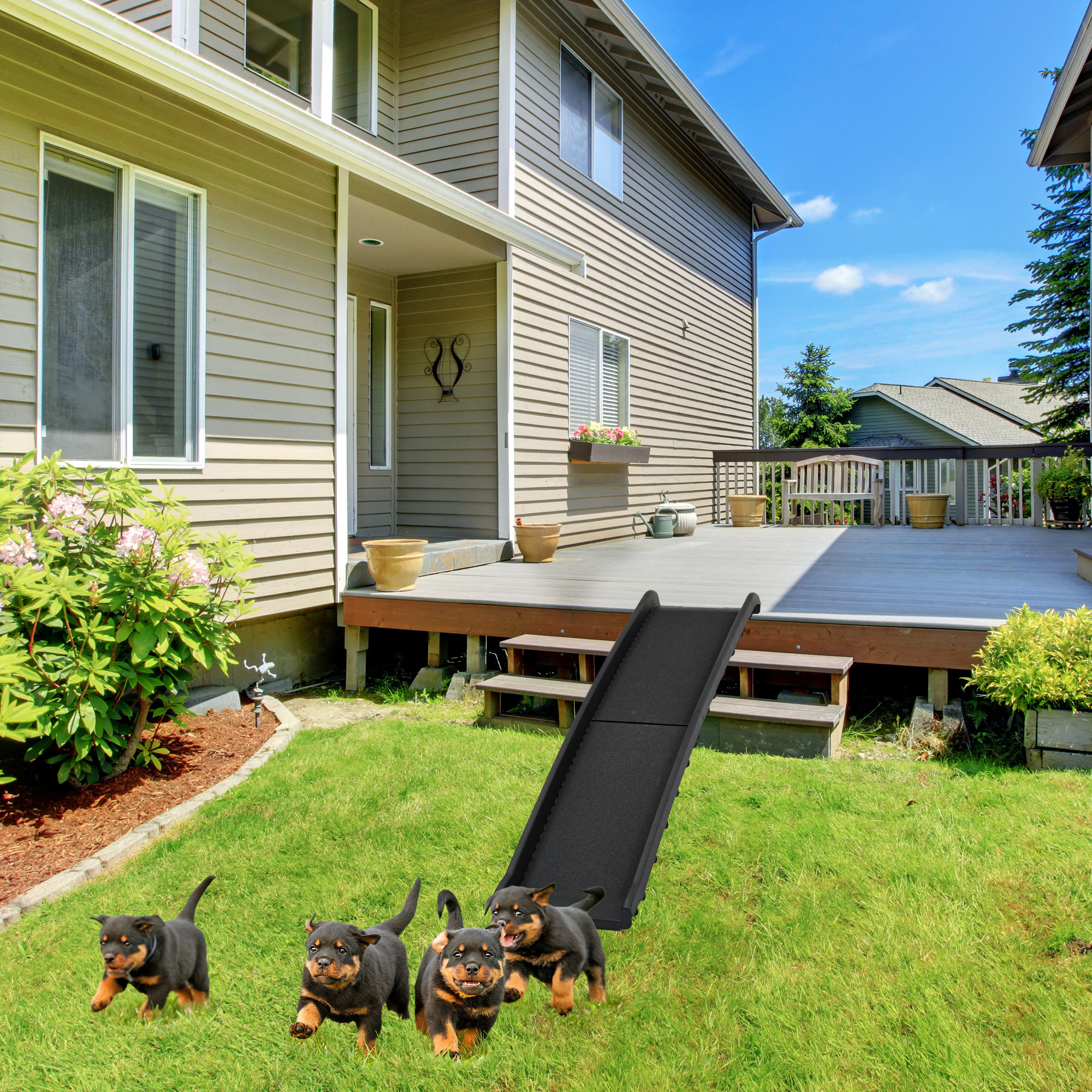 Paws and clearance pals dog ramp