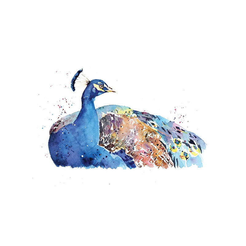 Peacock - Wrapped Canvas Painting