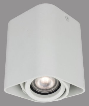 Flush Mount