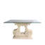 Outdoor Dining Table