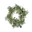 D24 po - couronne de feuillage / cèdre, vert