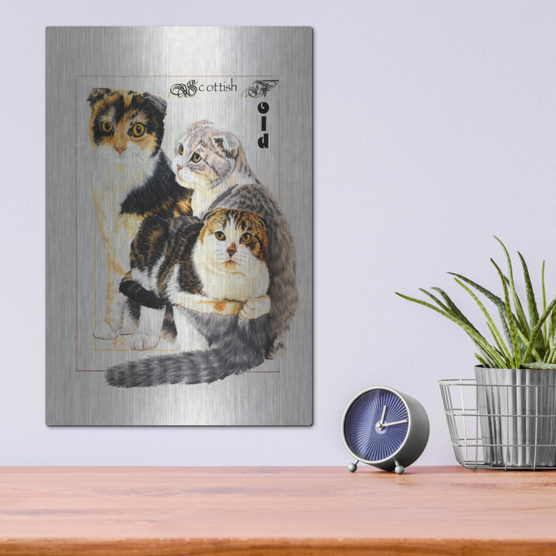 «Scottish Fold» par Barbara Keith, H 16 po x l 12 po