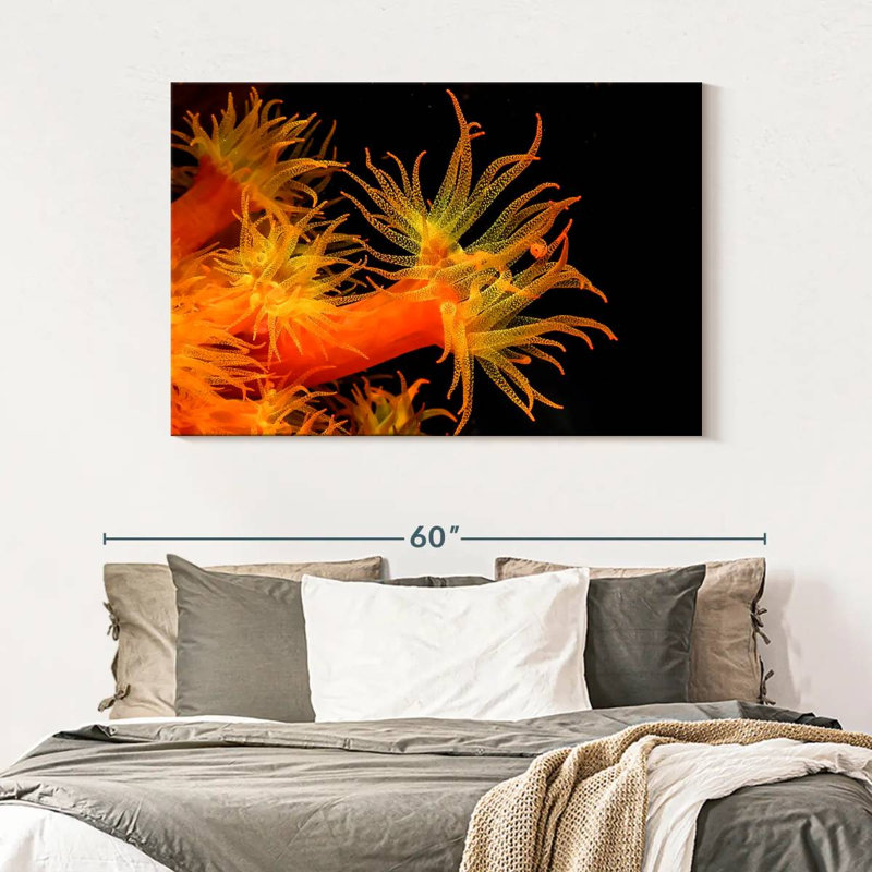 Brampt Sun Polyps, 32" H x 48" W