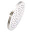 Rain Fixed Shower Head-542220179