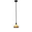 Luminaire suspendu 1 lumière à une cloche