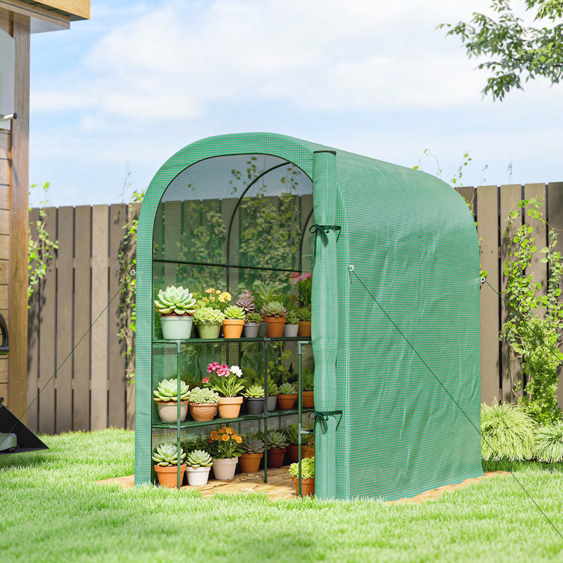 Mini serre d'extérieur avec tablettes Walk-in, vert, Vert
