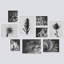 Noir et blanc botanique monochrome succulentes et cactus illustrations petit décor moderne-102709879