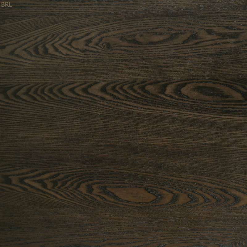 Chaise d'appoint rembourrée (ensemble de 2)