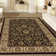 Oriental Indoor Rug