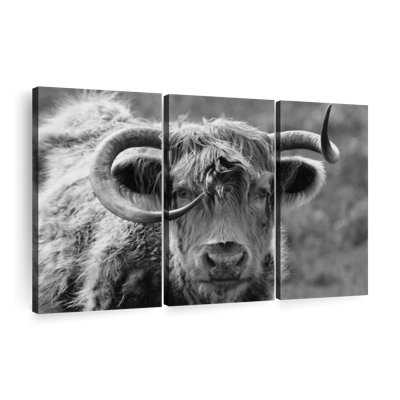Vache monochrome sur toile 3 pièces