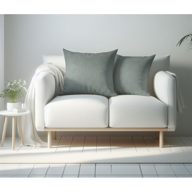 Ensemble de 2 coussins décoratifs en velours hypoallergénique avec fermeture à glissière cachée, H 18 po x l 18 po