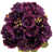 Aubergine est en rupture de stock