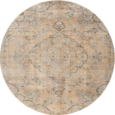 Oriental Indoor Rug