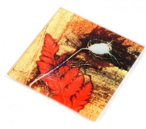 Glass Square 1 Piece Coaster