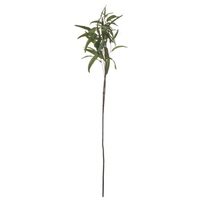 Anastasija Arrangement