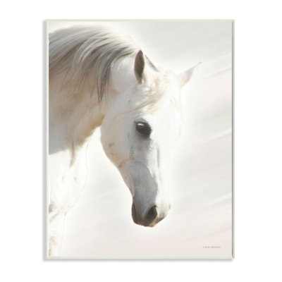 «White Stallion Portrait Minimal Southwestern Horse» par Kari Brooks - reproduction d'art
