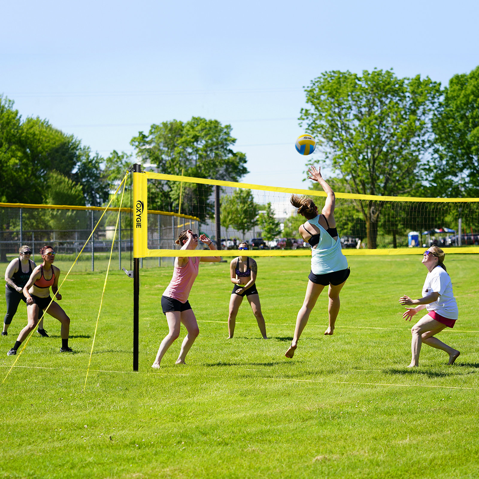 Volleyball Beach net