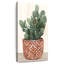 Cactus en pot II-999506549