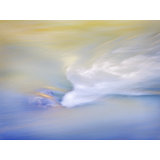 Angel In The River Print by Bruce Heinemann