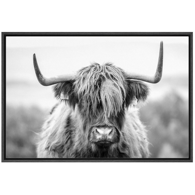 Animaux - Shetland noir et blanc, H 24 po x l 36 po x P 1,5 po, Noir
