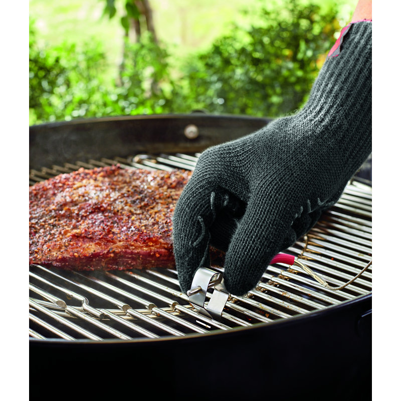 Weber Weber Ambient Probe