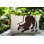 Coussin lombaire réversible intérieur / extérieur Gino Leopard
