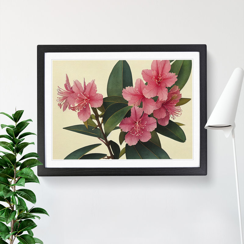Rhododendron Flowers Vol.1 - Single Picture Frame Print, Black Framed, 46cm H x 64cm W x 2cm D