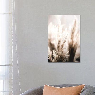 Pampas Reed V by Monika Strigel - Wrapped Canvas Print