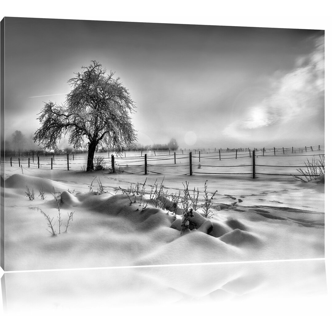 Leinwandbild Baum in Winterlandschaft in Monochrom