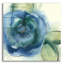 «Wannabe Poppies VI» par Chris Paschke-2079191972