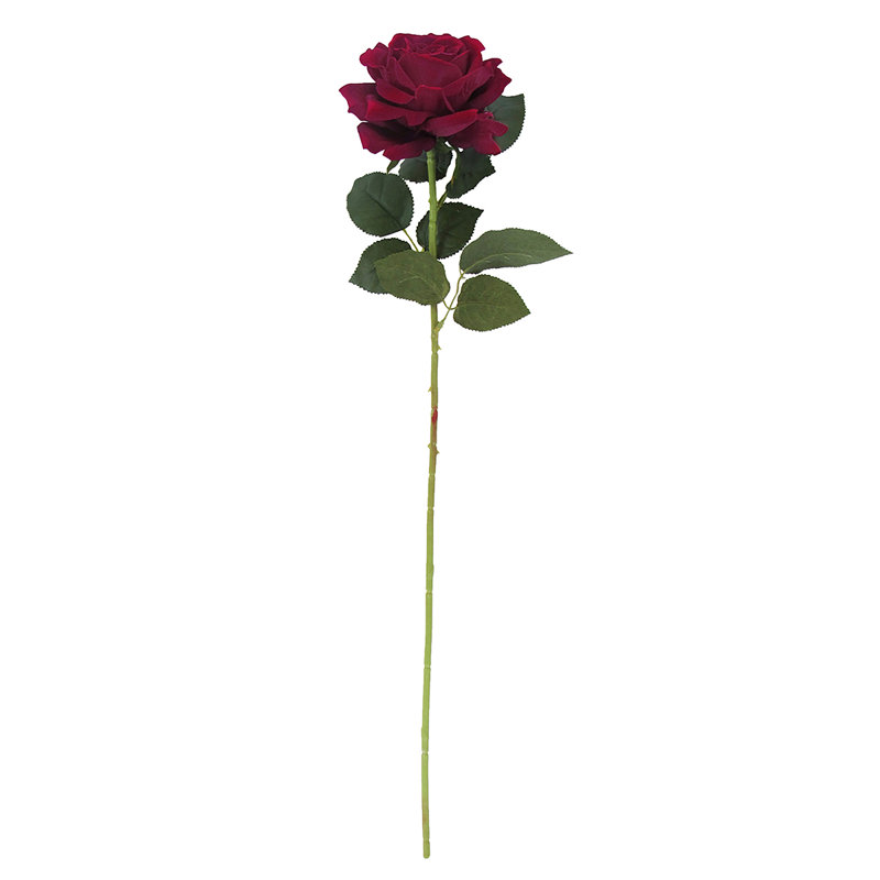 Grandes tiges roses en velours, Bourgogne