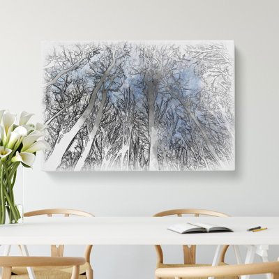 Beautiful Forest - Wrapped Canvas