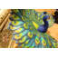 Statue colorée en bronze paon coloré - Taille: L 24 po x l 39 po x H 35 po.