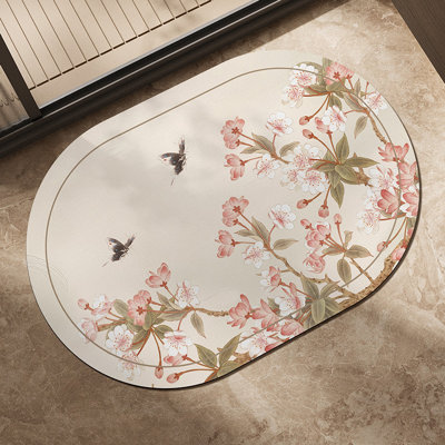 Decontamination Diatomaceous Earth Absorbent Bathroom Mat