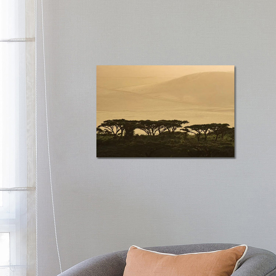 Africa, Tanzania, Ngorongoro Conservation Area. Highlands Trees In Shade. by Jaynes Gallery - Wrapped Canvas Painting