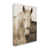 Toile tendue