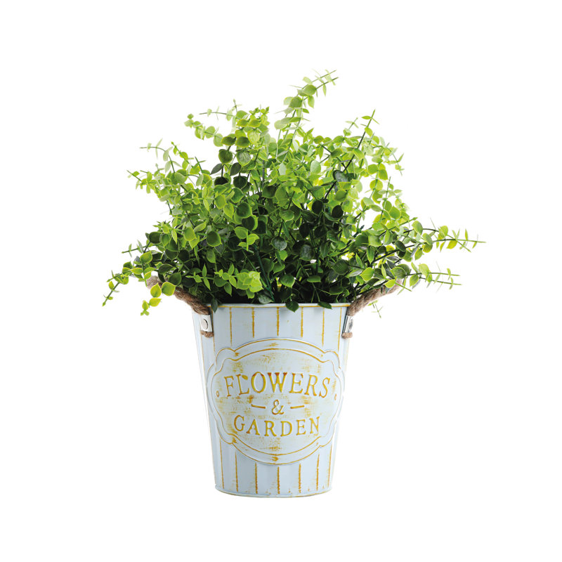 Ensemble 3 pièces d'eucalyptus artificiel en pot